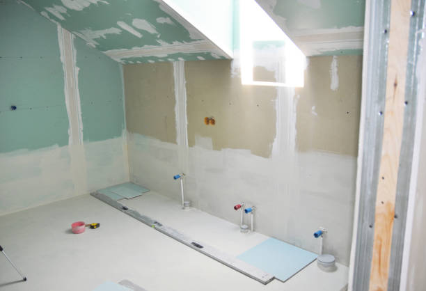 Best Attic Mold Removal  in Stamford, TX