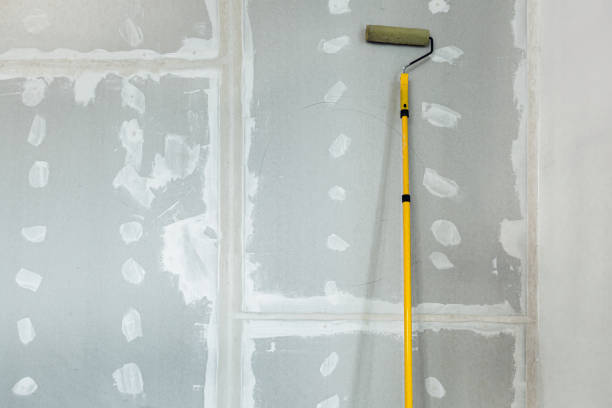 Best Comprehensive Air Testing for Mold Contaminants  in Stamford, TX
