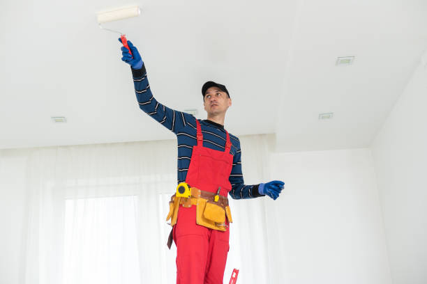 Trusted Stamford, TX Mold Removal Experts
