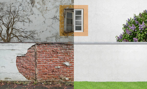 Best Mold Remediation for Healthcare Facilities  in Stamford, TX