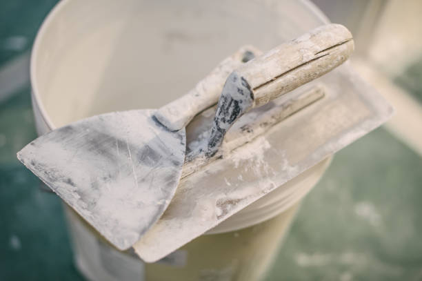 Environmental Consulting for Mold Prevention in Stamford, TX