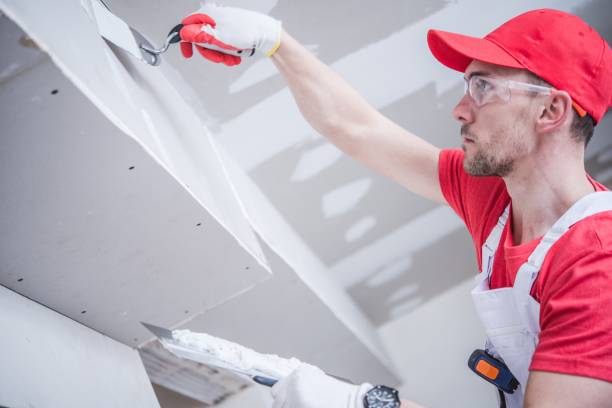 Best Water Damage & Mold Remediation  in Stamford, TX